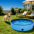 Dog running towards the pool in a garden