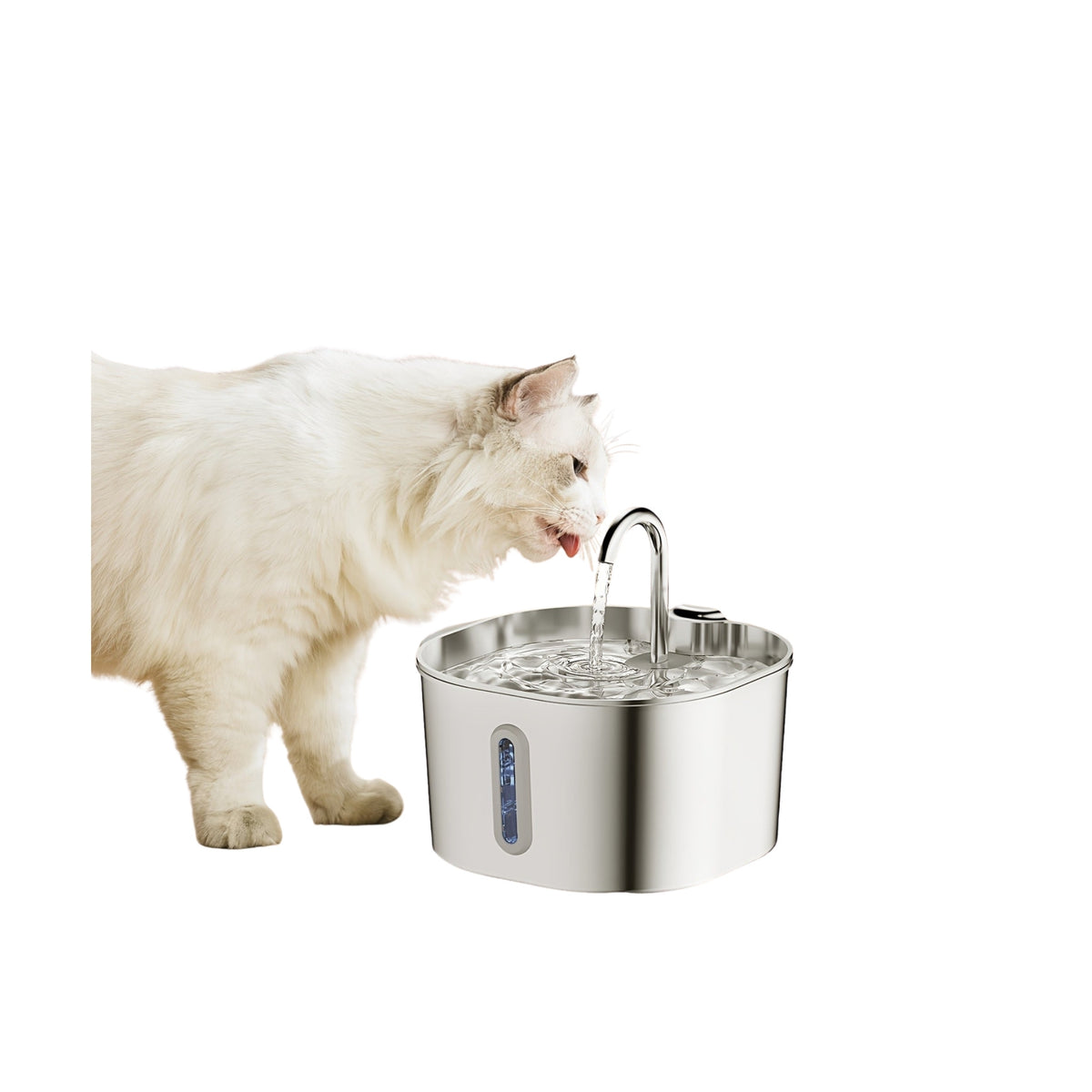 Cat drinking from the pet water fountain