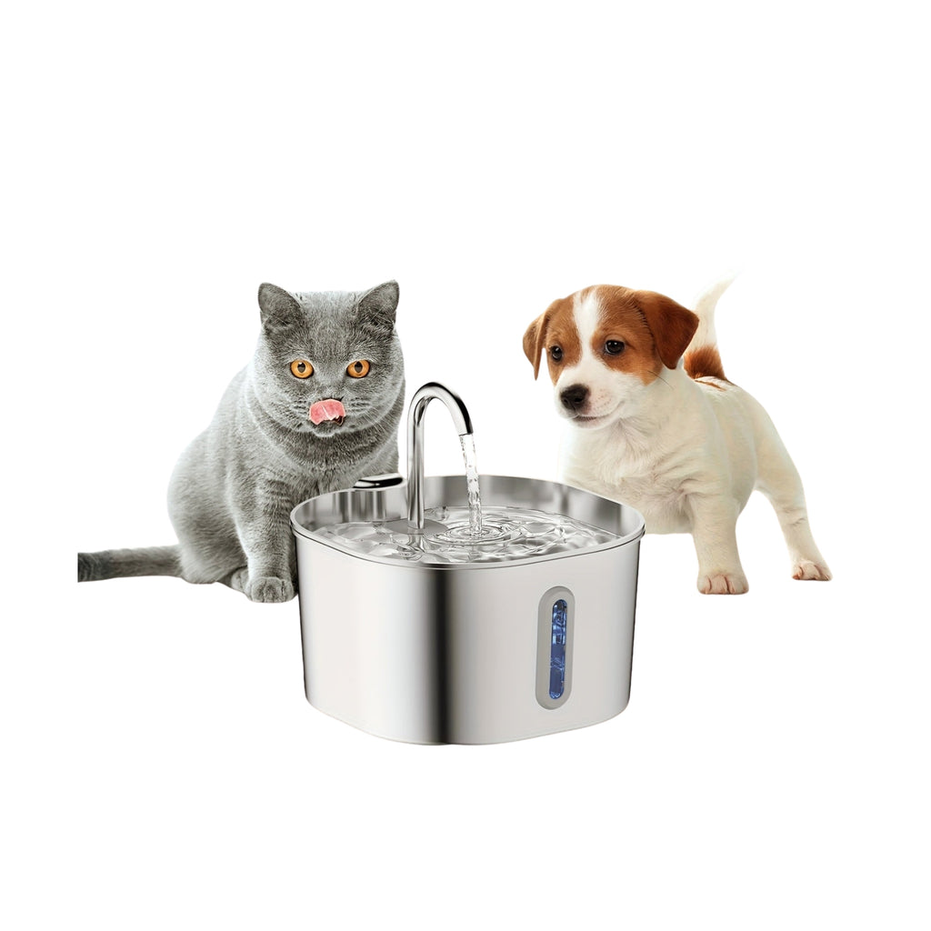 Cat and dog with the pet water fountain