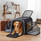 Dog resting in the travel bag