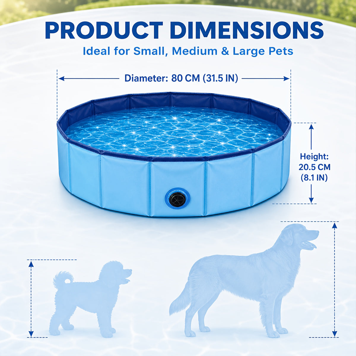 Dog pool dimensions
